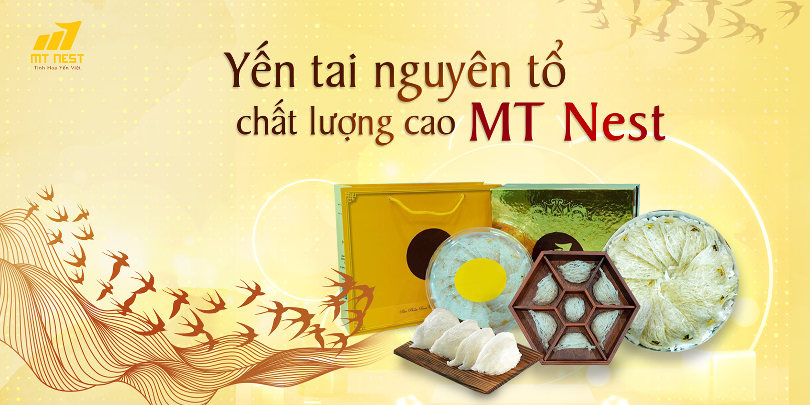 yến tai nguyên tổ chất lượng cao MT Nest