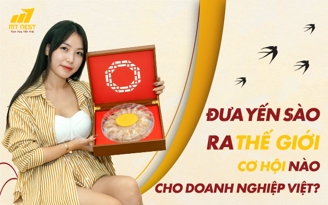 Đưa các thương hiệu yến sào Việt ra thế giới – Cơ hội nào cho doanh nghiệp Việt Nam?