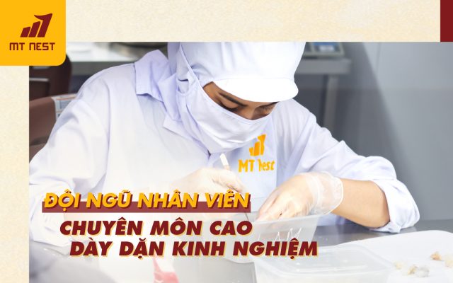 MTNest sở hữu đội ngũ nhân viên chuyên môn cao, dày dặn kinh nghiệm