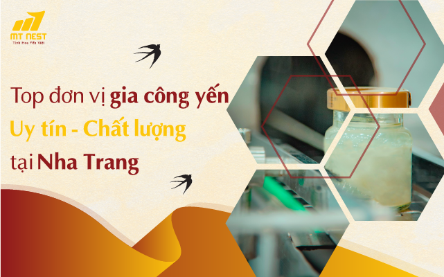 Top 3 đơn vị gia công yến uy tín tại Nha Trang