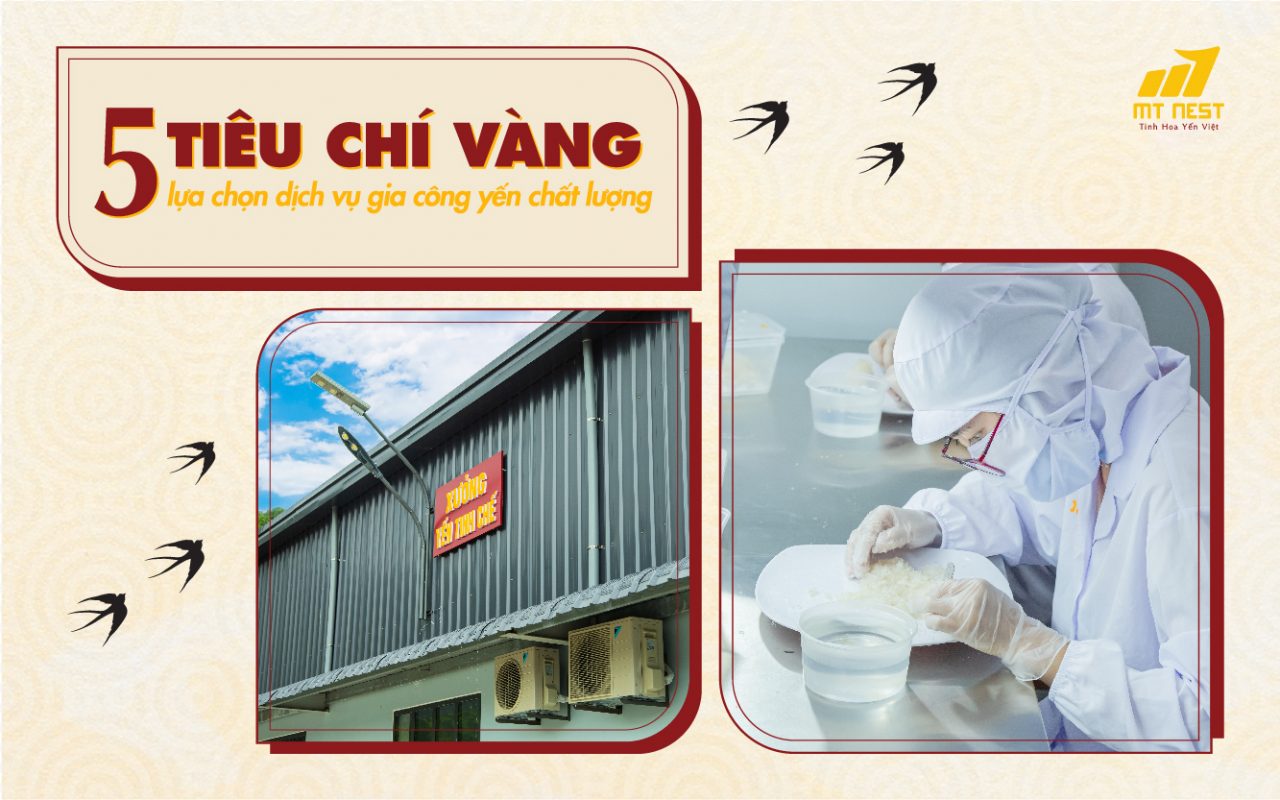 Những tiêu chí lựa chọn dịch vụ gia công yến sào chất lượng